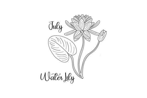 July Water Lily Line Art Embroidery for Apparel
