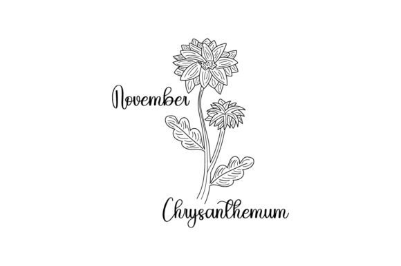 November Chrysanthemum Line Art Embroidery Review