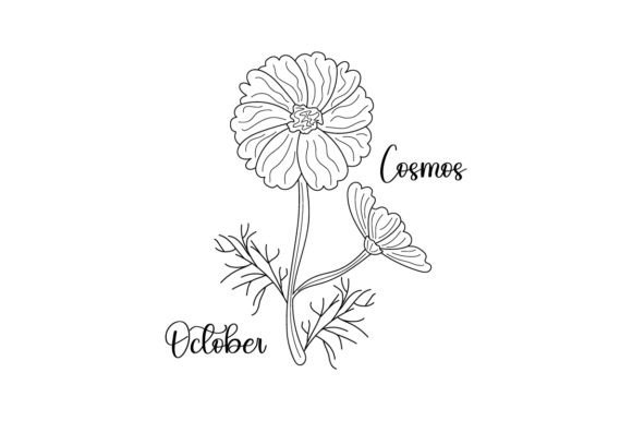 October Cosmos Birth Flower Embroidery Design Review